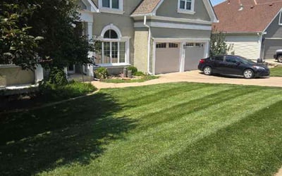 Photo of John L.'s yard after getting lawn care in Grain Valley, MO