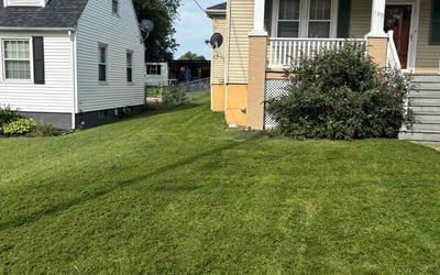 Photo of Al B.'s yard after getting lawn care in Salem, VA