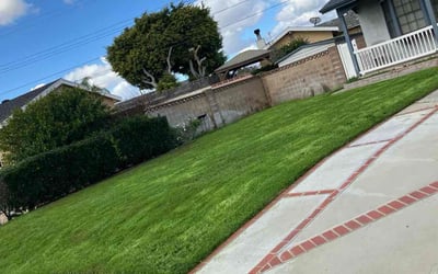Photo of Bobbie L.'s yard after getting lawn care in La Habra, CA