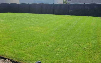 Photo of Deb D.'s yard after getting lawn care in Saint Charles, MO
