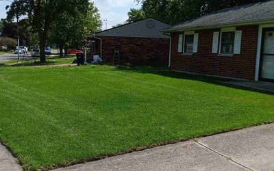 Photo of Jeffrey R.'s yard after getting lawn care in Piqua, OH