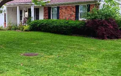 Photo of Khimmel B.'s yard after getting lawn care in Maryland Heights, MO