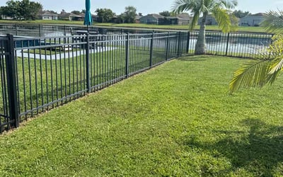 Photo of Nikki V.'s yard after getting lawn care in Georgetown, TX