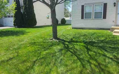 Photo of Priscila V.'s yard after getting lawn care in Wood Dale, IL