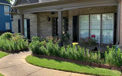Photo of Victor T.'s yard after getting lawn care in Spring Branch, TX