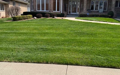 Photo of Mahmoud A.'s yard after getting lawn care in Orland Park, IL