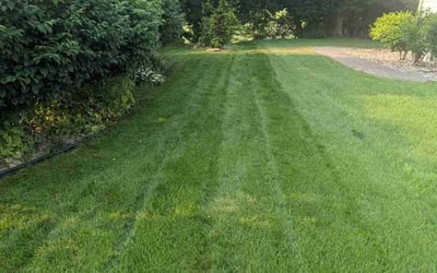 Photo of Jan H.'s yard after getting lawn care in Tunkhannock, PA