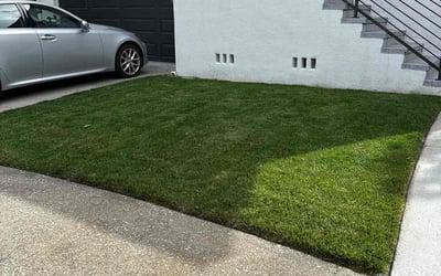 Photo of Juliana W.'s yard after getting lawn care in Pacifica, CA