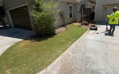 Photo of Mara M.'s yard after getting lawn care in Reading, PA