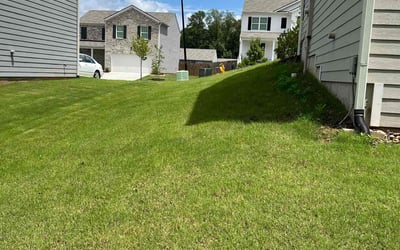 Photo of Deborah F.'s yard after getting lawn care in Dallas, PA