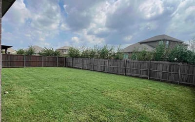 Photo of Nadia B.'s yard after getting lawn care in North Bergen, NJ