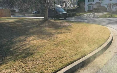 Photo of Dylan W.'s yard after getting lawn care in Webster, TX