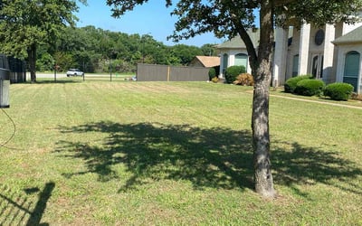 Photo of Michael H.'s yard after getting lawn care in Santa Cruz, CA
