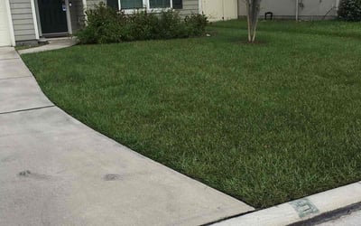 Photo of Jan G.'s yard after getting lawn care in Paso Robles, CA