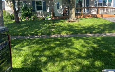 Photo of Amy S.'s yard after getting lawn care in Streamwood, IL