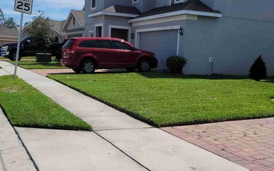 Photo of Cedric S.'s yard after getting lawn care in Albany, GA