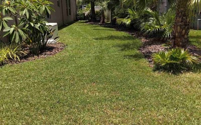 Photo of Alexander P.'s yard after getting lawn care in Land O' Lakes, FL