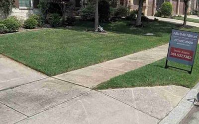 Photo of Sheila B.'s yard after getting lawn care in Lakewood, CA