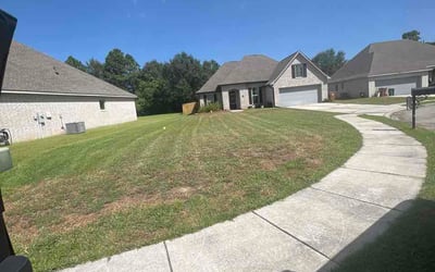 Photo of Jewel A.'s yard after getting lawn care in Newark, NJ