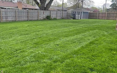 Photo of Cynthia V.'s yard after getting lawn care in Dayton, OH