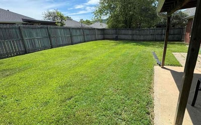 Photo of Margo C.'s yard after getting lawn care in Fayetteville, AR