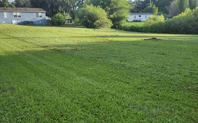 Photo of Suzanne D.'s yard after getting lawn care in San Carlos, CA