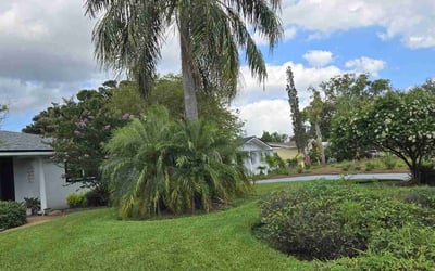 Photo of Elena L.'s yard after getting lawn care in Seminole, FL
