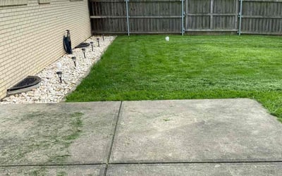 Photo of Elizabeth K.'s yard after getting lawn care in Atlantic City, NJ