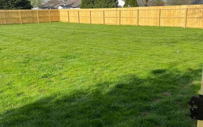 Photo of Cindy S.'s yard after getting lawn care in Mansfield, OH