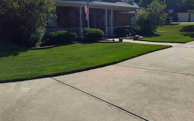 Photo of Ariel V.'s yard after getting lawn care in Commerce City, CO