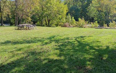 Photo of Kathleen M.'s yard after getting lawn care in Ashland, KY