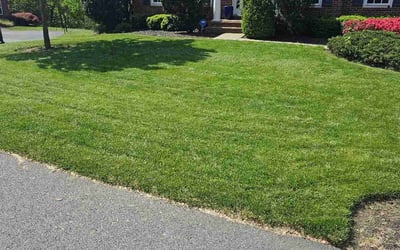 Photo of Chris C.'s yard after getting lawn care in Rowlett, TX