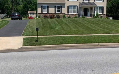 Photo of Laken M.'s yard after getting lawn care in East Norriton, PA