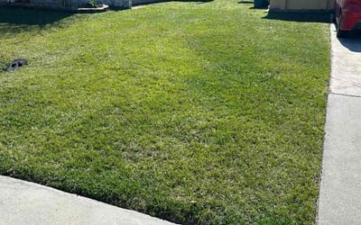 Photo of Marcela P.'s yard after getting lawn care in Longwood, FL
