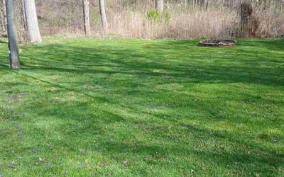 Photo of Joseph D.'s yard after getting lawn care in Harrison Township, MI