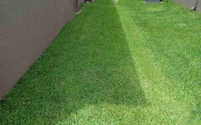Photo of Sherry O.'s yard after getting lawn care in Pleasanton, TX