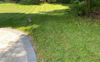 Photo of Willie P.'s yard after getting lawn care in Trumbull, CT
