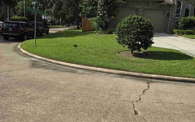 Photo of Thomas G.'s yard after getting lawn care in Abilene, TX