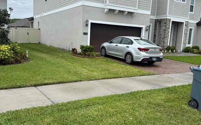 Photo of K.C. A.'s yard after getting lawn care in Bay Shore, NY
