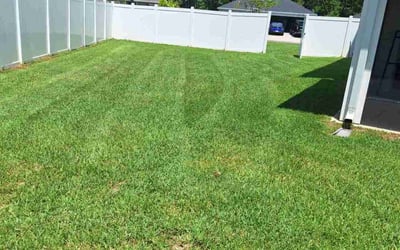 Photo of Thomas S.'s yard after getting lawn care in Atwater, CA