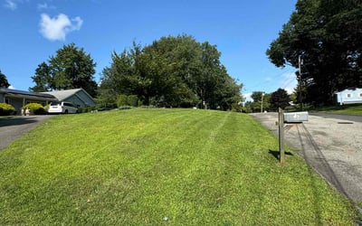 Photo of Wendy T.'s yard after getting lawn care in Corona, NY
