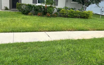 Photo of Gail T.'s yard after getting lawn care in Clermont, FL