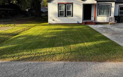 Photo of Lou C.'s yard after getting lawn care in Revere, MA