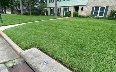 Photo of Timothy R.'s yard after getting lawn care in Grand Prairie, TX
