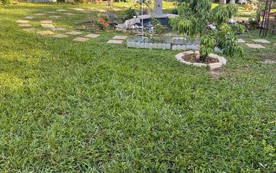 Photo of Paula F.'s yard after getting lawn care in Morton, IL