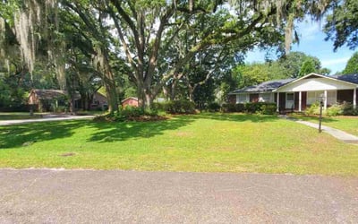 Photo of Dave A.'s yard after getting lawn care in Austin, TX