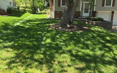 Photo of Clifford J.'s yard after getting lawn care in Kansas City, MO