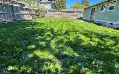 Photo of Dawn G.'s yard after getting lawn care in Bull Mountain, OR