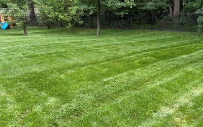 Photo of Janelle C.'s yard after getting lawn care in Mount Juliet, TN