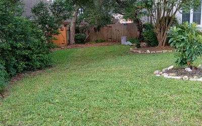 Photo of Lajuana P.'s yard after getting lawn care in Loxahatchee, FL